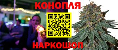 тгк Славянск-на-Кубани