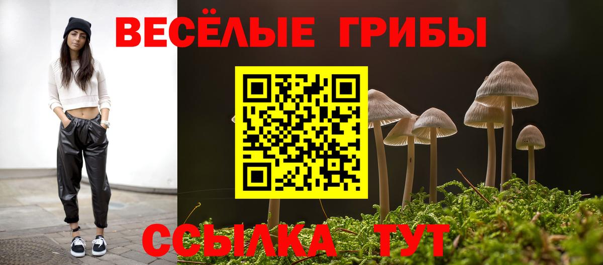 Псилоцибиновые грибы MAGIC MUSHROOMS Нарткала